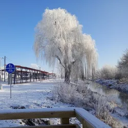 Opoczno Market Hall - Opoczno