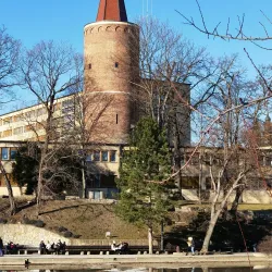 Piast Tower - Opole