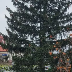 A stunning outdoor scene in Otwock