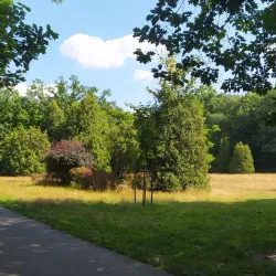 Pabianice City Park (Park Miejski) - Pabianice