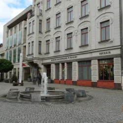 Mazovian Museum in Płock - Plock