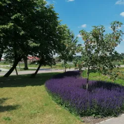 Płock City Park (Park im. Stanisława Staszica) - Plock