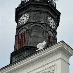 Płock Town Hall - Plock