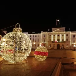 Płock Town Hall - Plock
