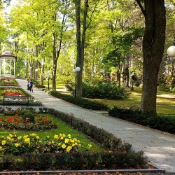 Aleja Lipowa (Linden Avenue) - Polanica Zdroj