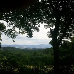 Polanica-Zdrój Museum - Polanica Zdroj