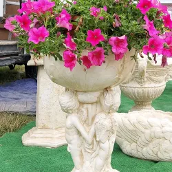 Market Square - Polaniec