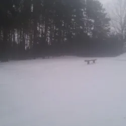 Polaniec Forest Park - Polaniec