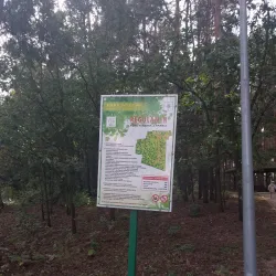 Polaniec Forest Park - Polaniec