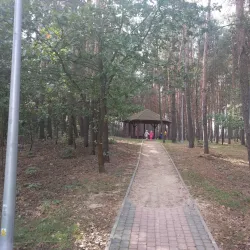 Polaniec Forest Park - Polaniec