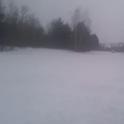 Polaniec Forest Park - Polaniec