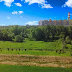 Polaniec Power Plant - Polaniec