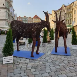 Old Market Square (Stary Rynek) - Poznan