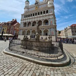 Poznań Town Hall - Poznan