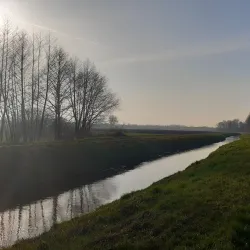 Nature Reserve "Łęgowe Błota" - Pruszcz Gdański