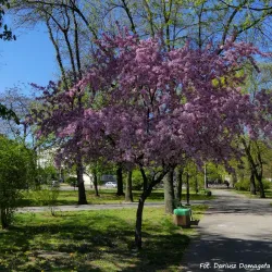 Planty Park - Radom