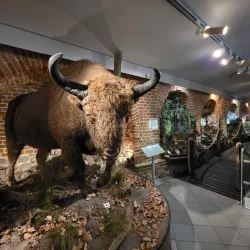 Radom Museum (Muzeum im. Jacka Malczewskiego) - Radom