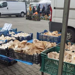 Market Square (Rynek) - Radomsko