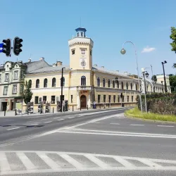 Radomsko Museum - Radomsko
