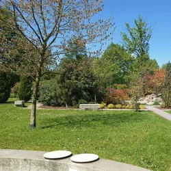 Rybnik City Park (Park im. Adama Mickiewicza) - Rybnik