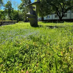 Rybnik Cultural Center (Rybnik Dom Kultury) - Rybnik