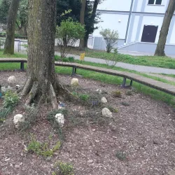 Rybnik Cultural Center (Rybnik Dom Kultury) - Rybnik