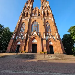 Cathedral of the Immaculate Conception of the Blessed Virgin Mary - Siedlce