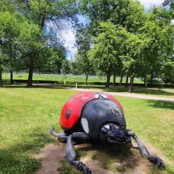 Park Miejski (City Park) - Sieradz