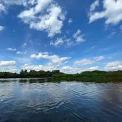 Bzura River - Sochaczew