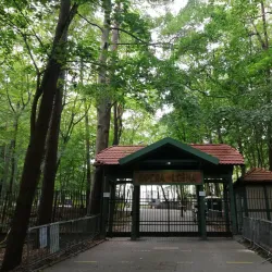 Forest Opera (Opera Leśna) - Sopot
