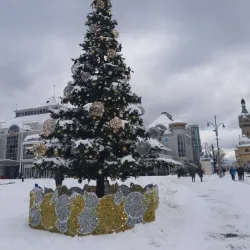 Monte Cassino Street (Bohaterów Monte Cassino) - Sopot