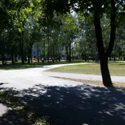 Park Sielecki - Sosnowiec