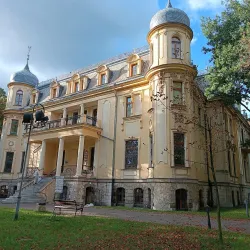Sosnowiec Palace of Art - Sosnowiec