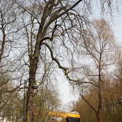 Chrobry Park - Stargard