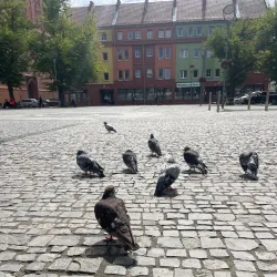 Stargard Market Square (Rynek) - Stargard