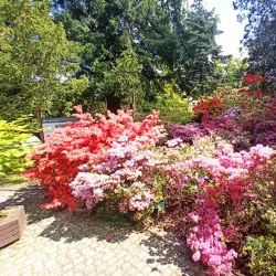 Botanical Garden - Starogard Gdanski