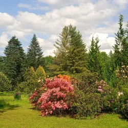 Botanical Garden - Starogard Gdanski