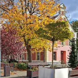 The Town Hall - Starogard Gdanski