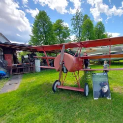 Museum of Mechanical Musical Instruments - Swidnica