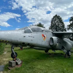 Museum of Mechanical Musical Instruments - Swidnica