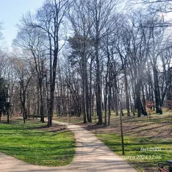 Park Miejski (City Park) - Swidnica