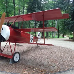 Park Miejski (City Park) - Swidnica