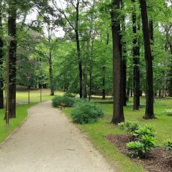Park Miejski (City Park) - Swidnica