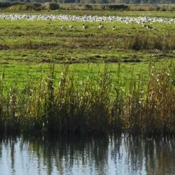 Karsibór Island - Swinoujscie