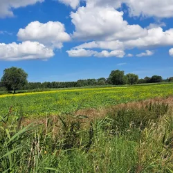 Karsibór Island - Swinoujscie