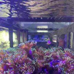 Marine Museum in Świnoujście - Swinoujscie