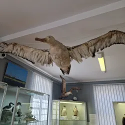 Marine Museum in Świnoujście - Swinoujscie