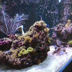 Marine Museum in Świnoujście - Swinoujscie