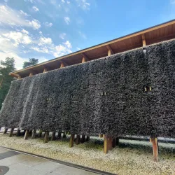 Promenade in Świnoujście - Swinoujscie