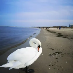 Świnoujście Beaches - Swinoujscie